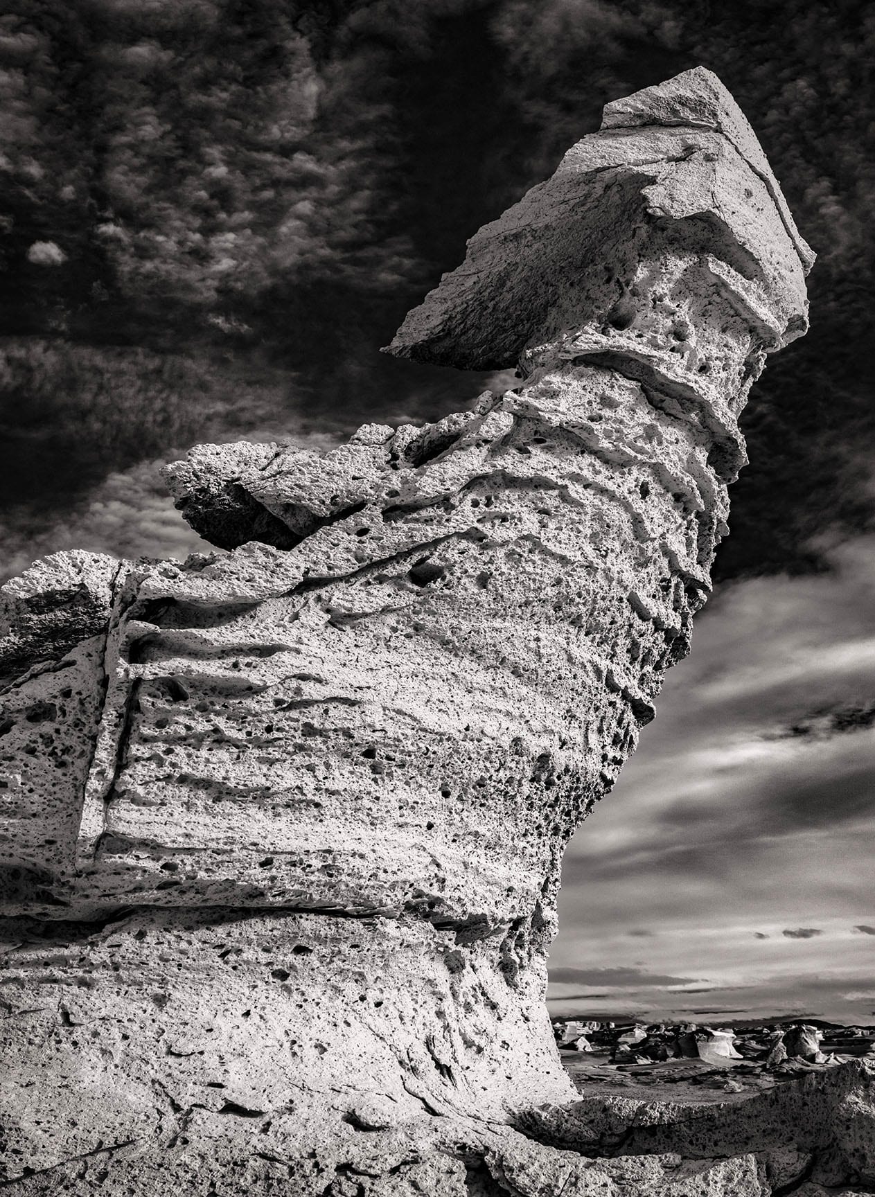 Pumice Vertical Ir — artwork by Cara Barer.